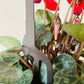 Decorative Pot Stem - Robin On A Fork