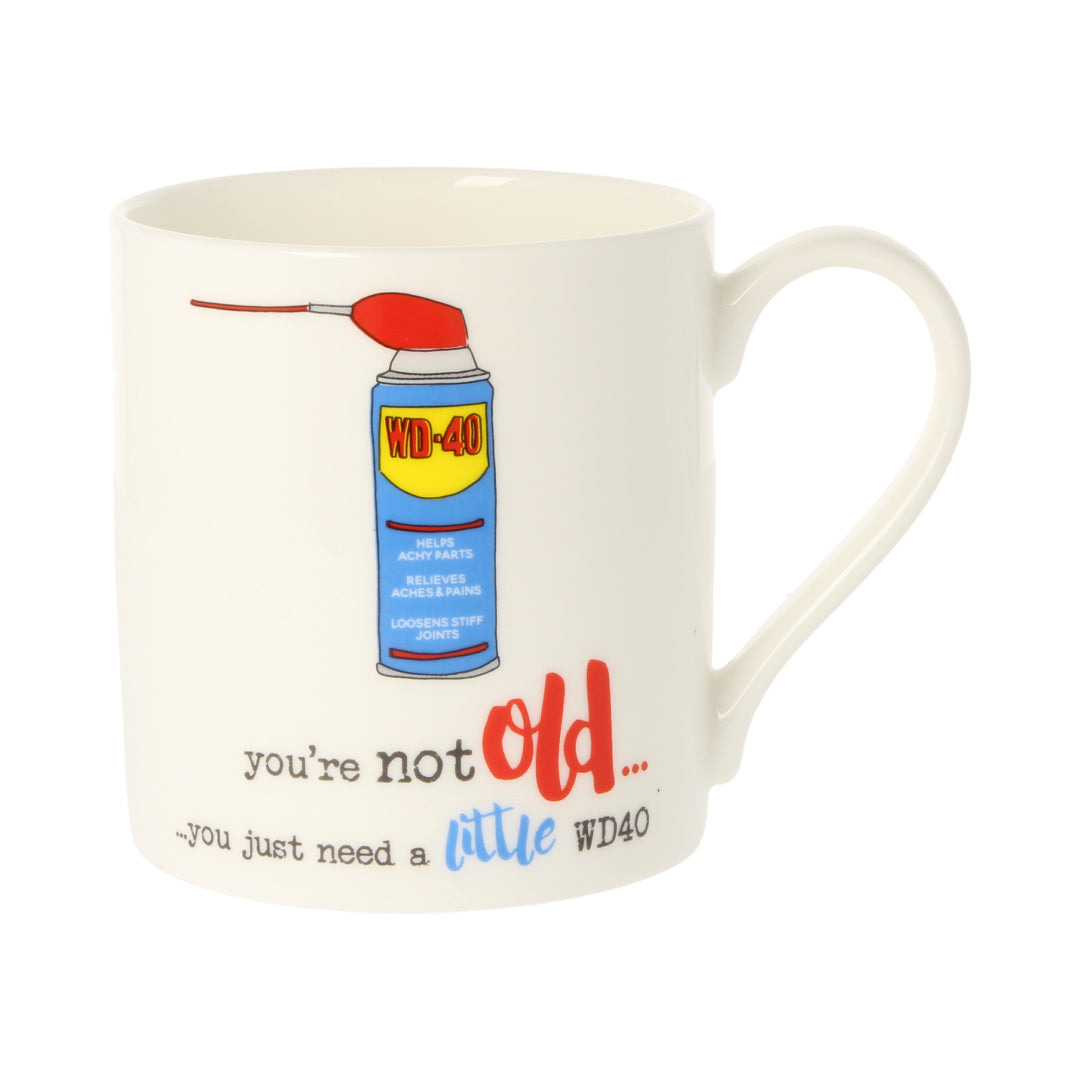 You're Not Old Mug