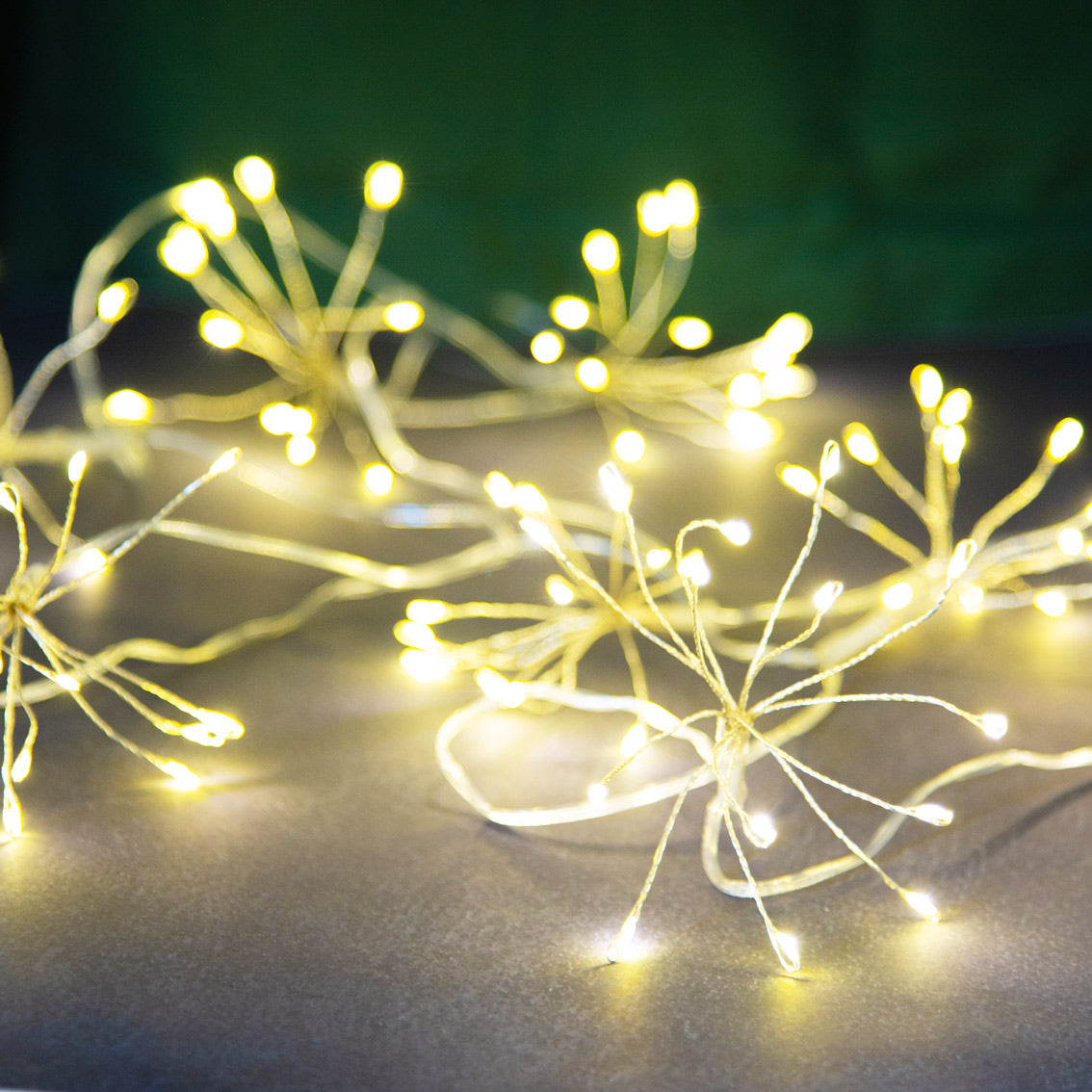 Christmas Lights - Allium Starburst
