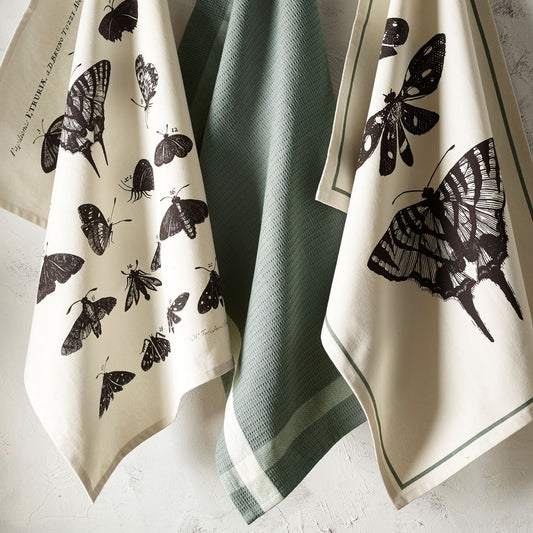Tea towel set, two in monochrome with detailed illustration of moths and butterflies, in dark grey on a cream background, and one in pale petrol blue with cream inset trim. From Kew Gardens available from Vinegar Hill.
