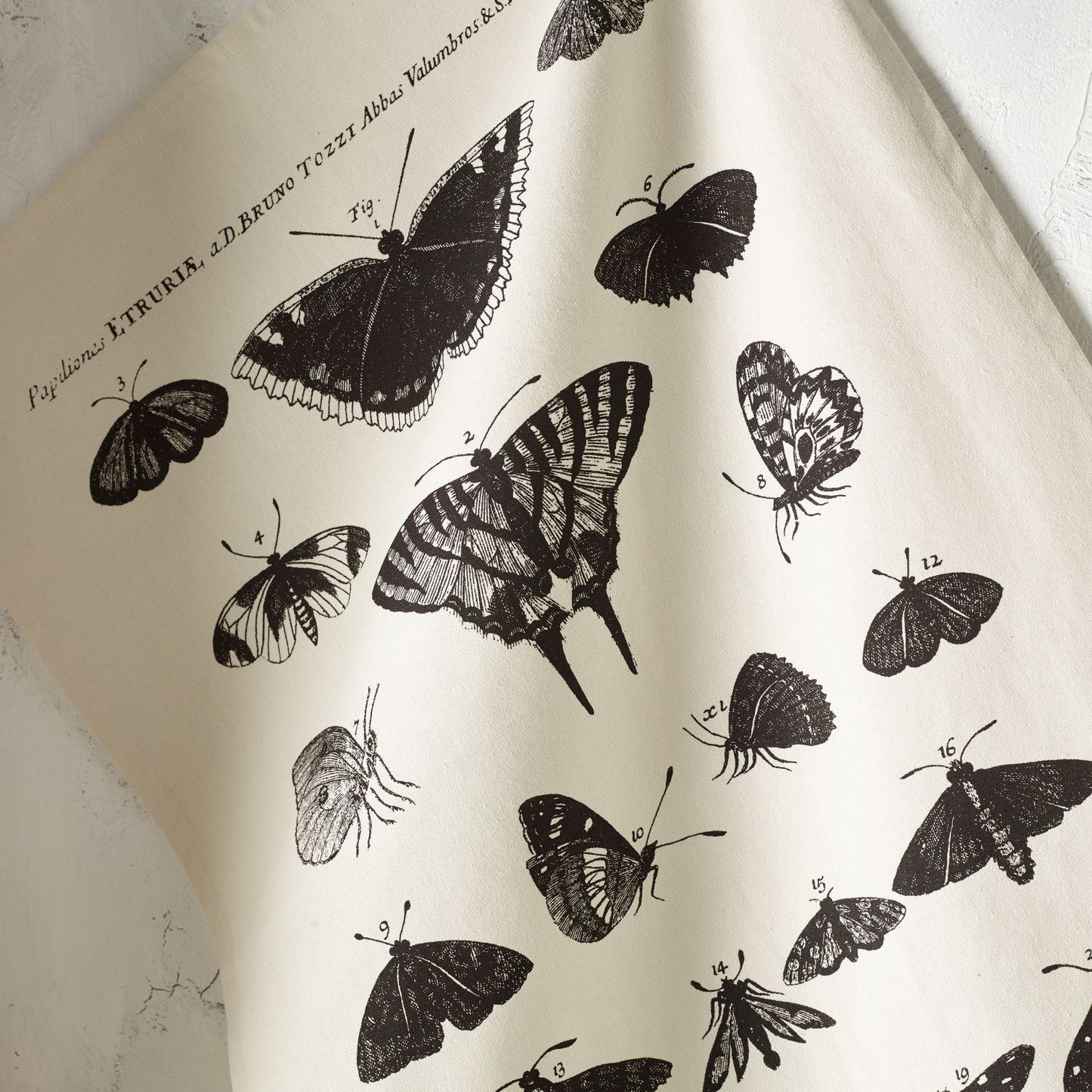 Tea Towel Set - Kew Gardens – Moths & Butterflies