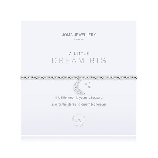 A Little Dream Big