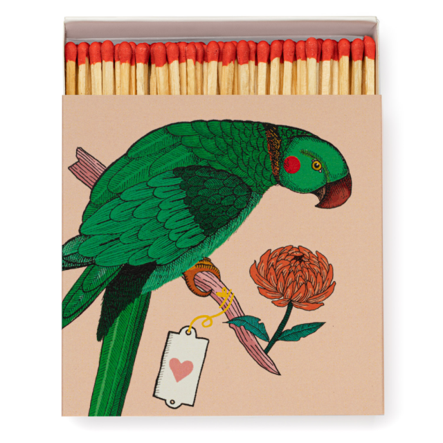 Parrot Matchbox