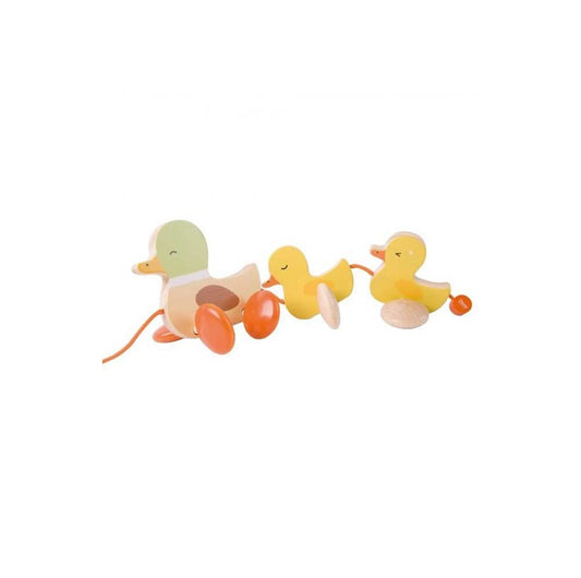 Pull Duck Toy